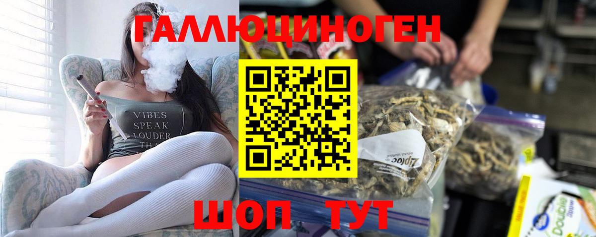 Псилоцибиновые грибы мицелий Георгиевск
